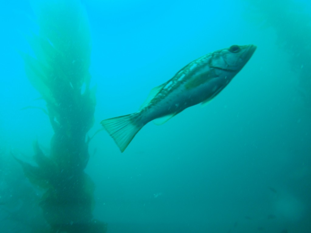 sm_AR-P8213453.JPG
