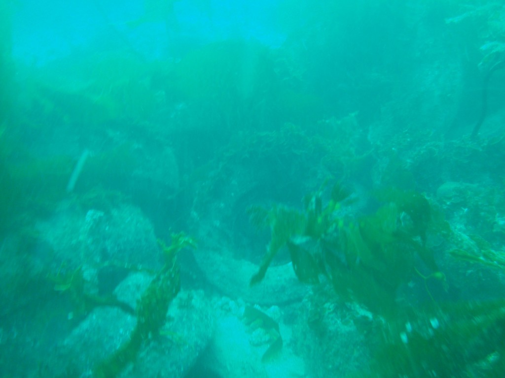 sm_AR-P8213464.JPG