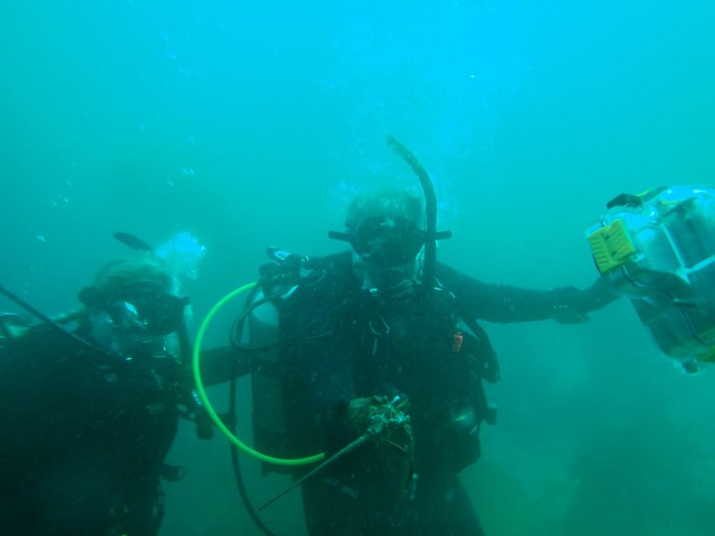 sm_AR-P8213467.JPG