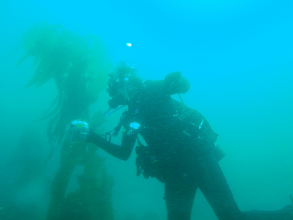 sm_AR-P8213468.JPG