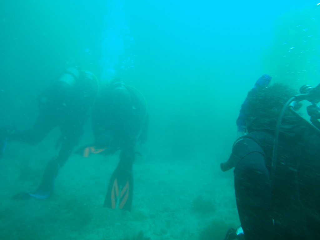 sm_AR-P8213473.JPG