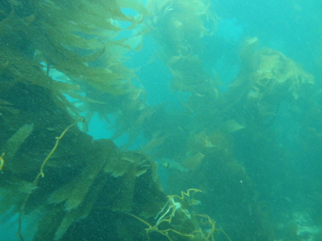 sm_AR-P8213476.JPG