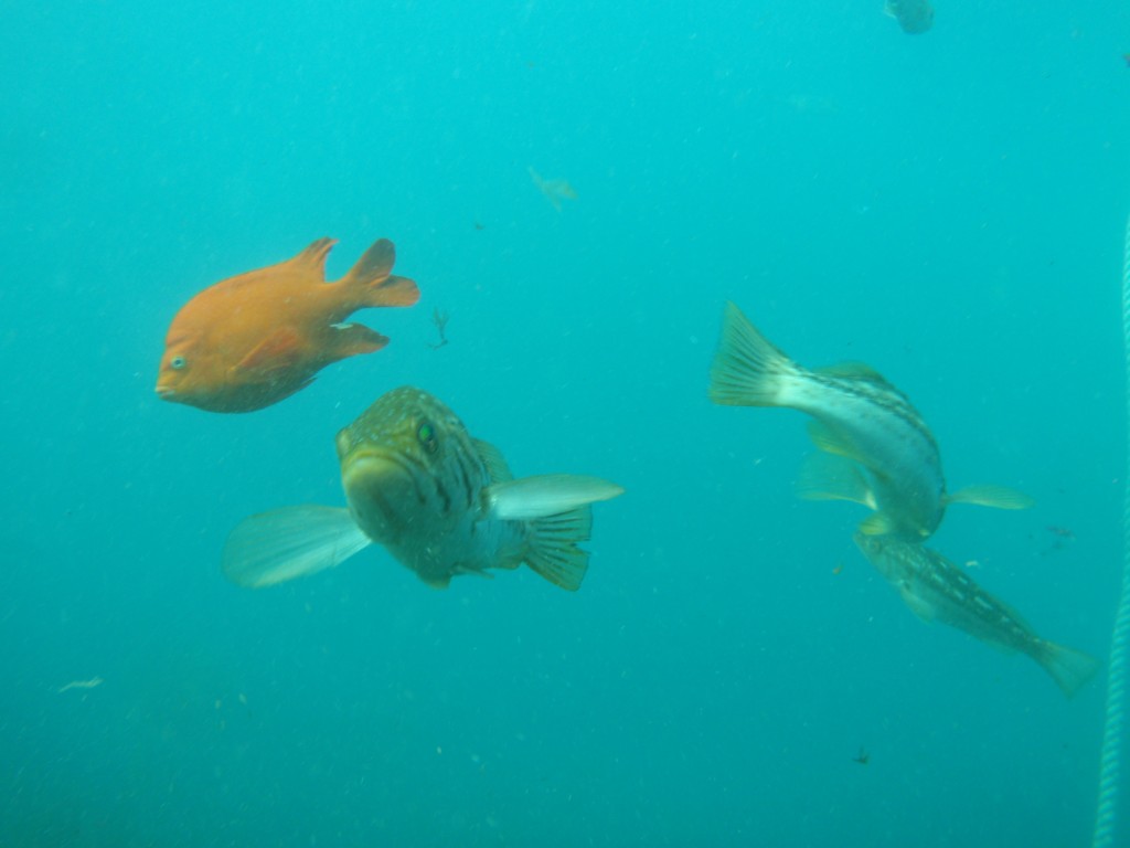 sm_AR-P8213478.JPG