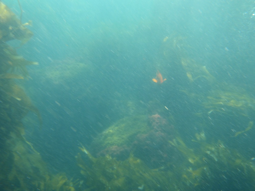 sm_AR-P8213481.JPG