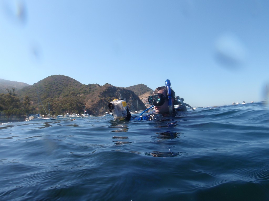 sm_AR-P8213482.JPG