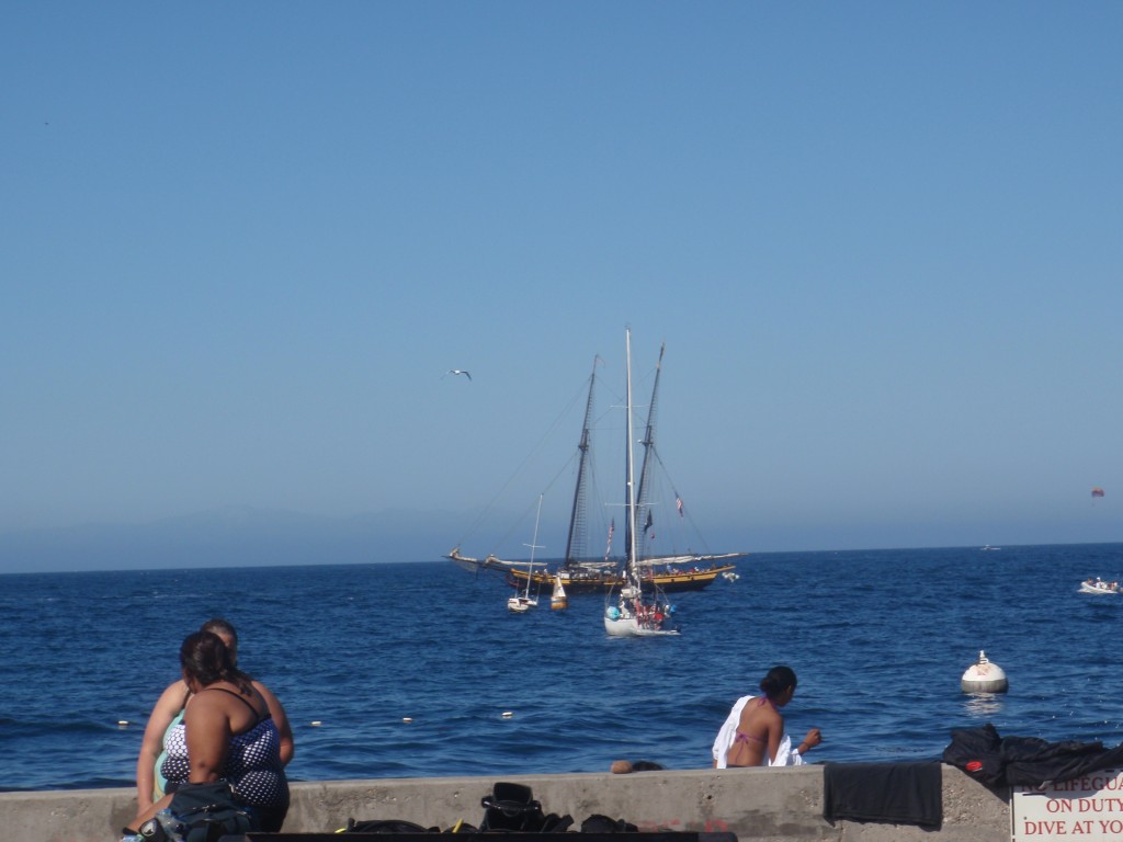 sm_AR-P8213490.JPG