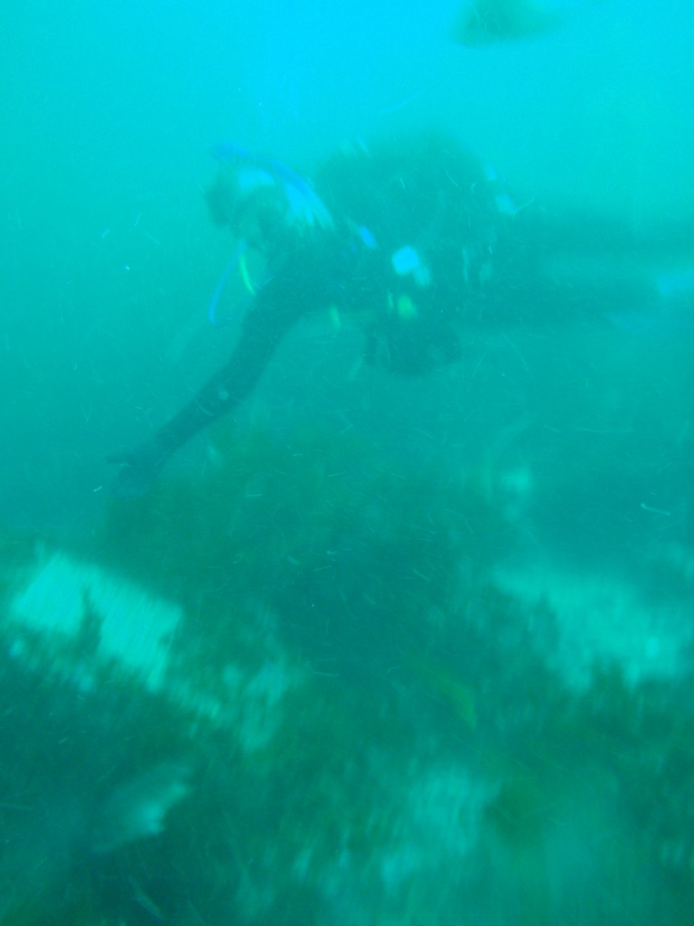 sm_AR-P8213498.JPG