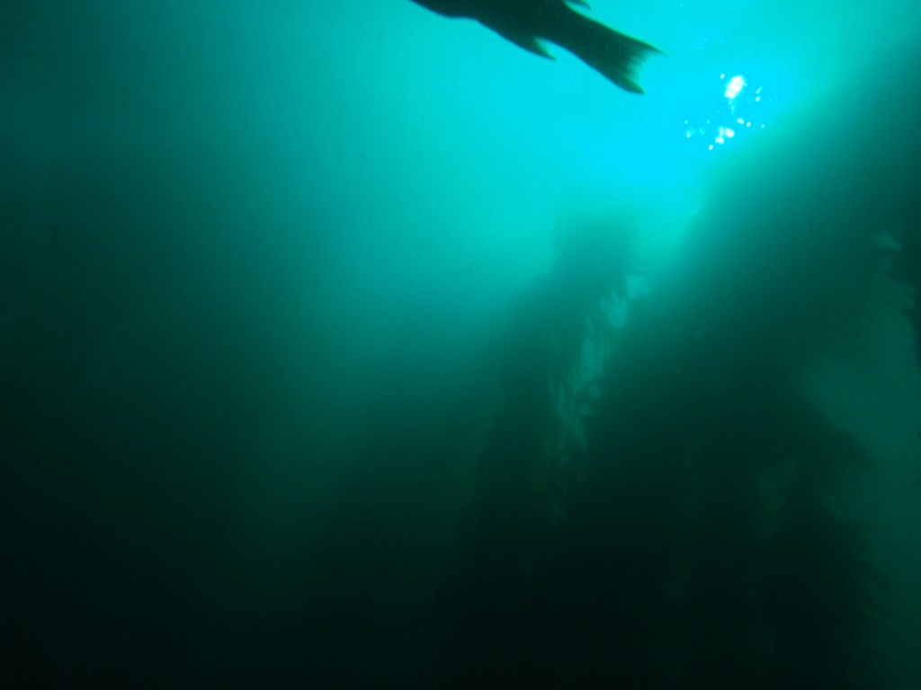 sm_AR-P8213506.JPG