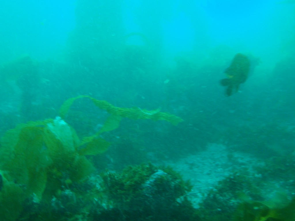 sm_AR-P8213508.JPG