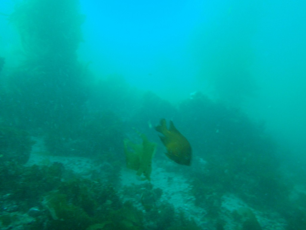 sm_AR-P8213509.JPG