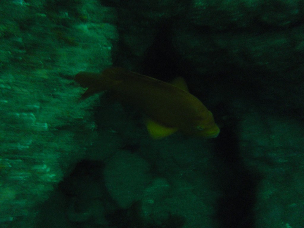 sm_AR-P8213520.JPG