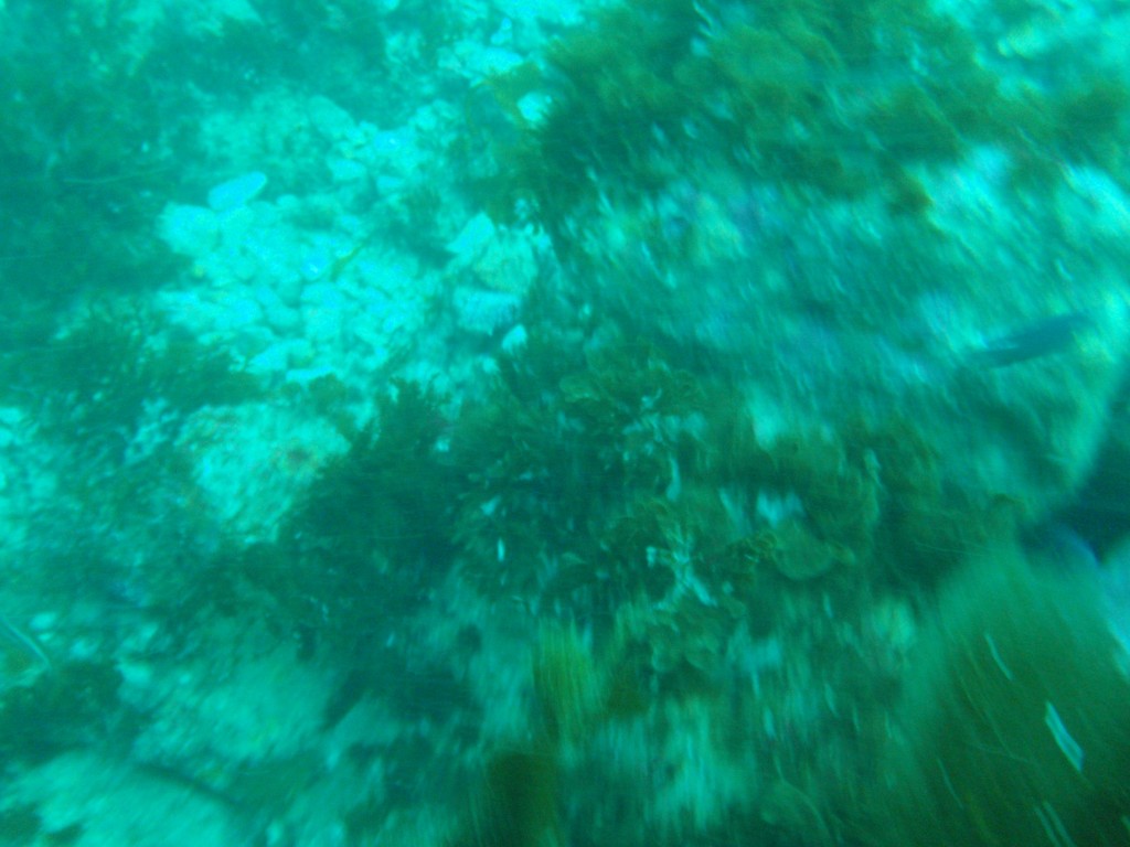 sm_AR-P8213543.JPG