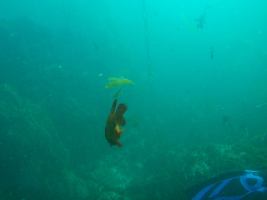 sm_AR-P8213574.JPG