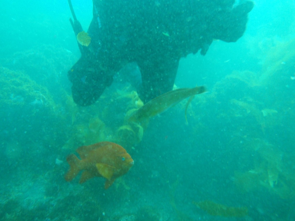 sm_AR-P8213576.JPG
