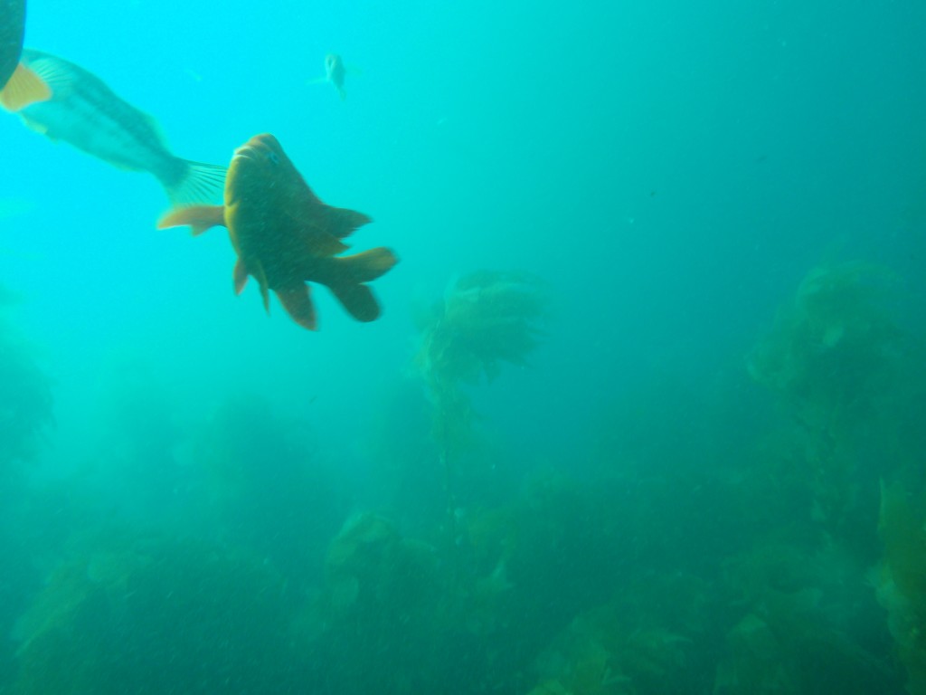 sm_AR-P8213579.JPG