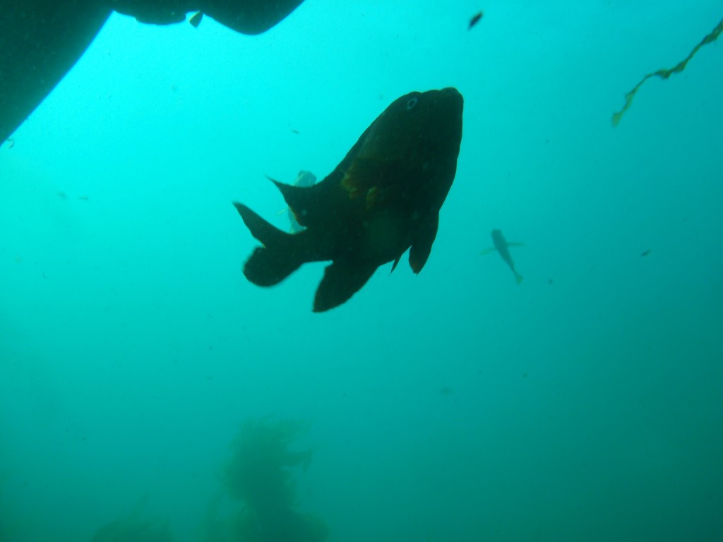 sm_AR-P8213580.JPG