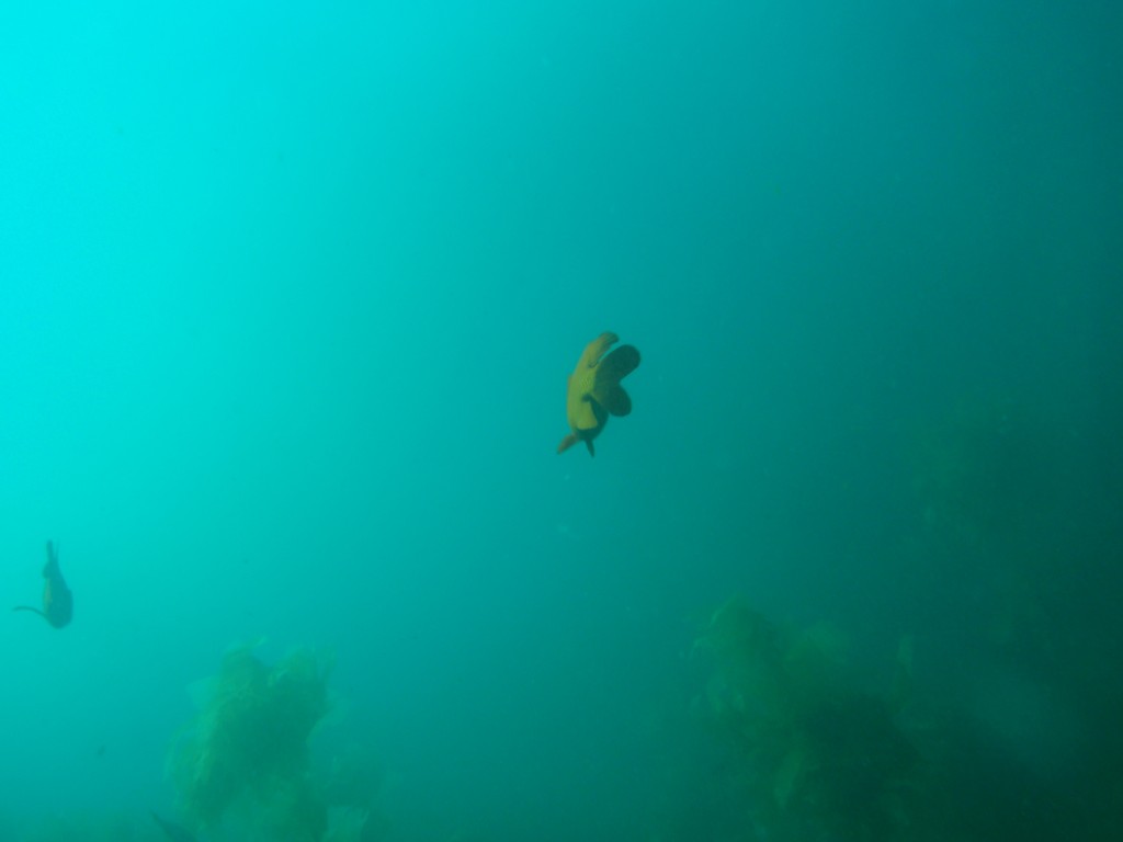 sm_AR-P8213582.JPG