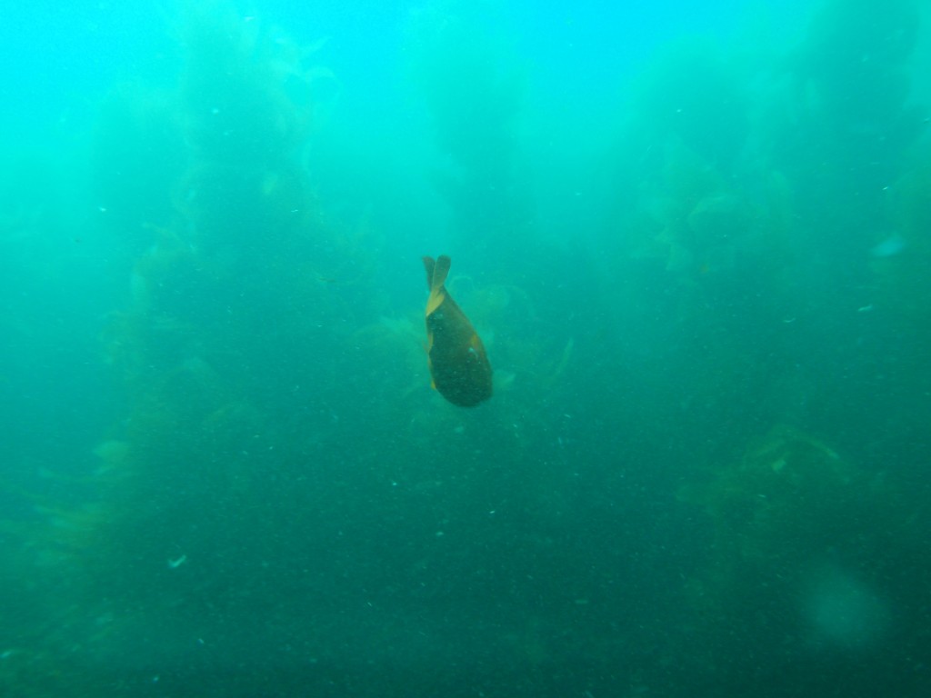 sm_AR-P8213583.JPG
