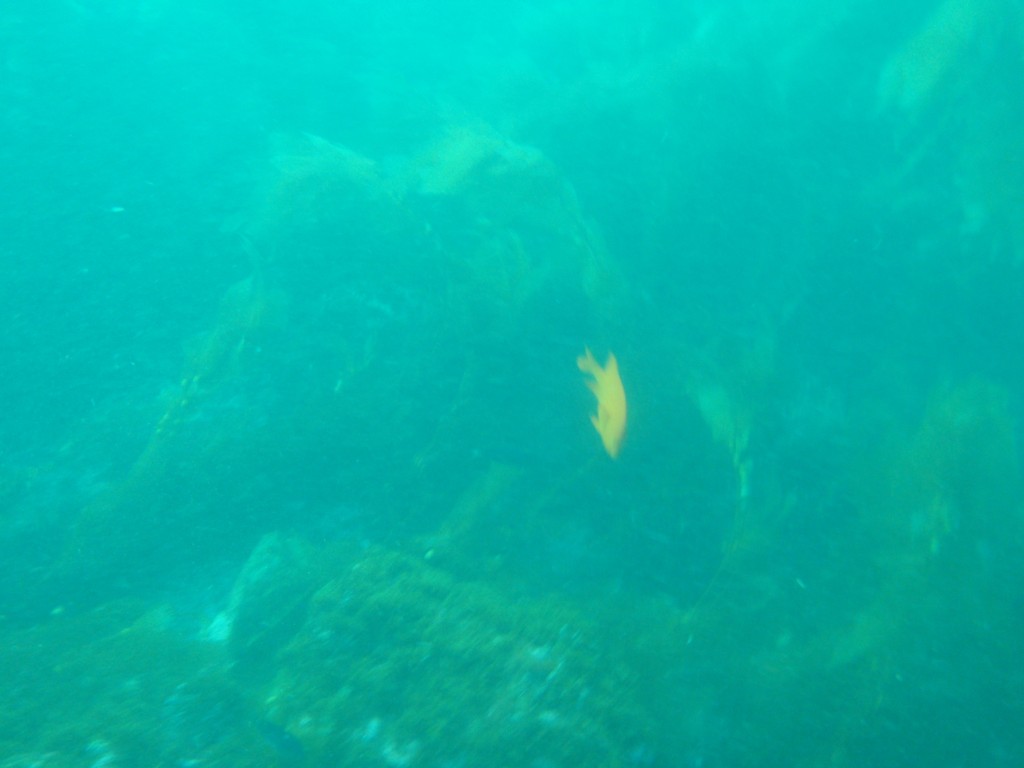sm_AR-P8213584.JPG
