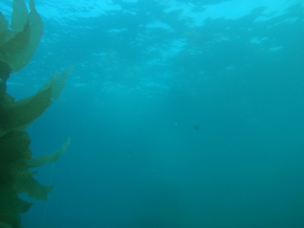sm_AR-P8213586.JPG