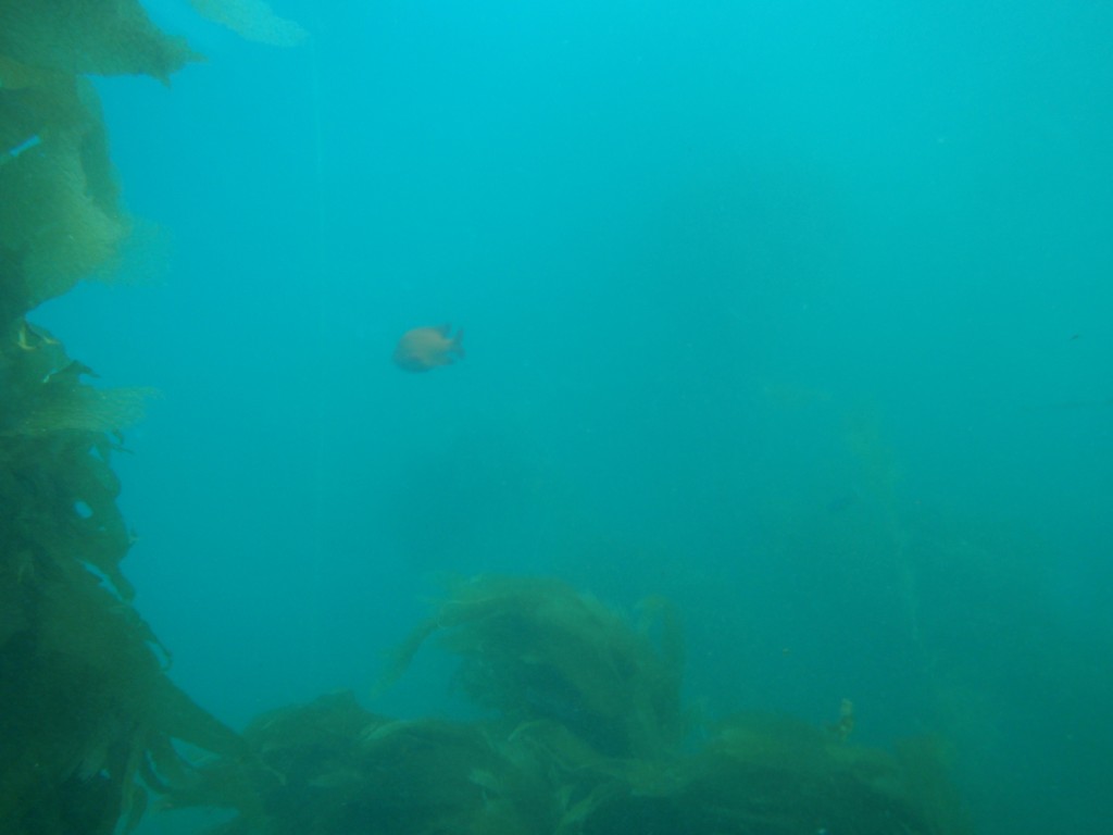 sm_AR-P8213587.JPG