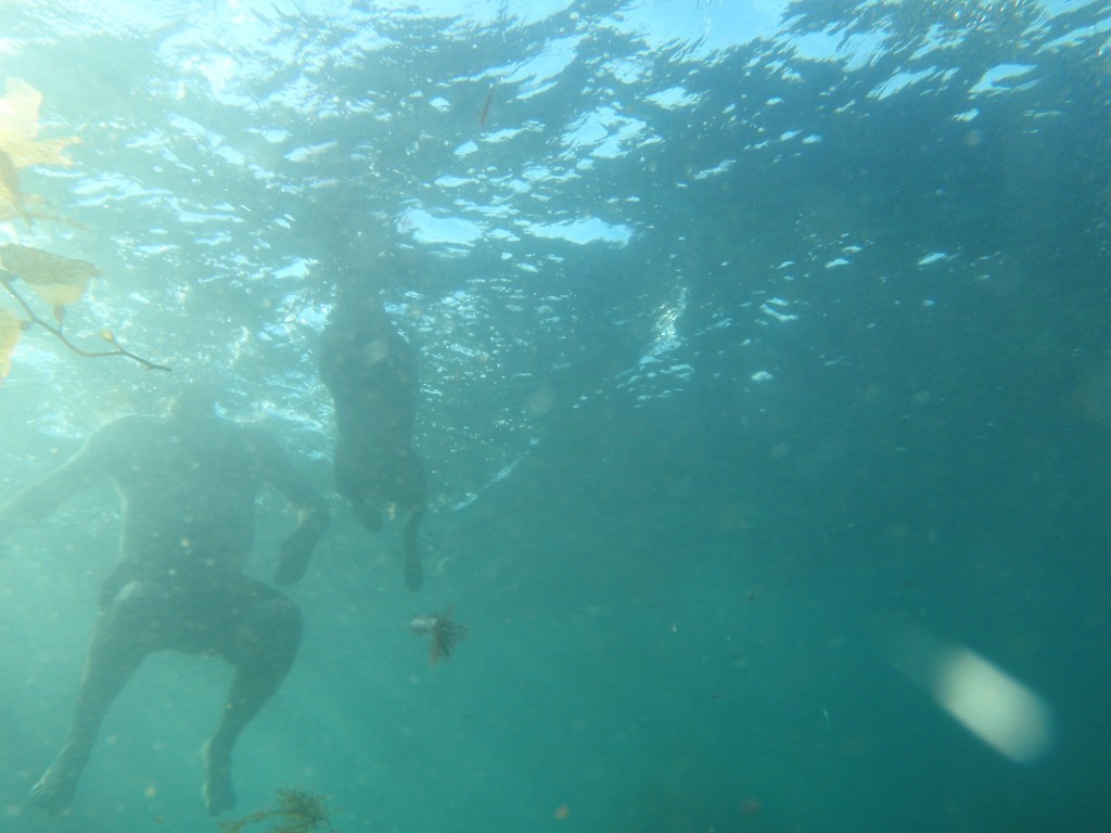 sm_AR-P8213589.JPG