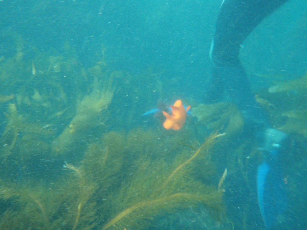 sm_AR-P8213590.JPG