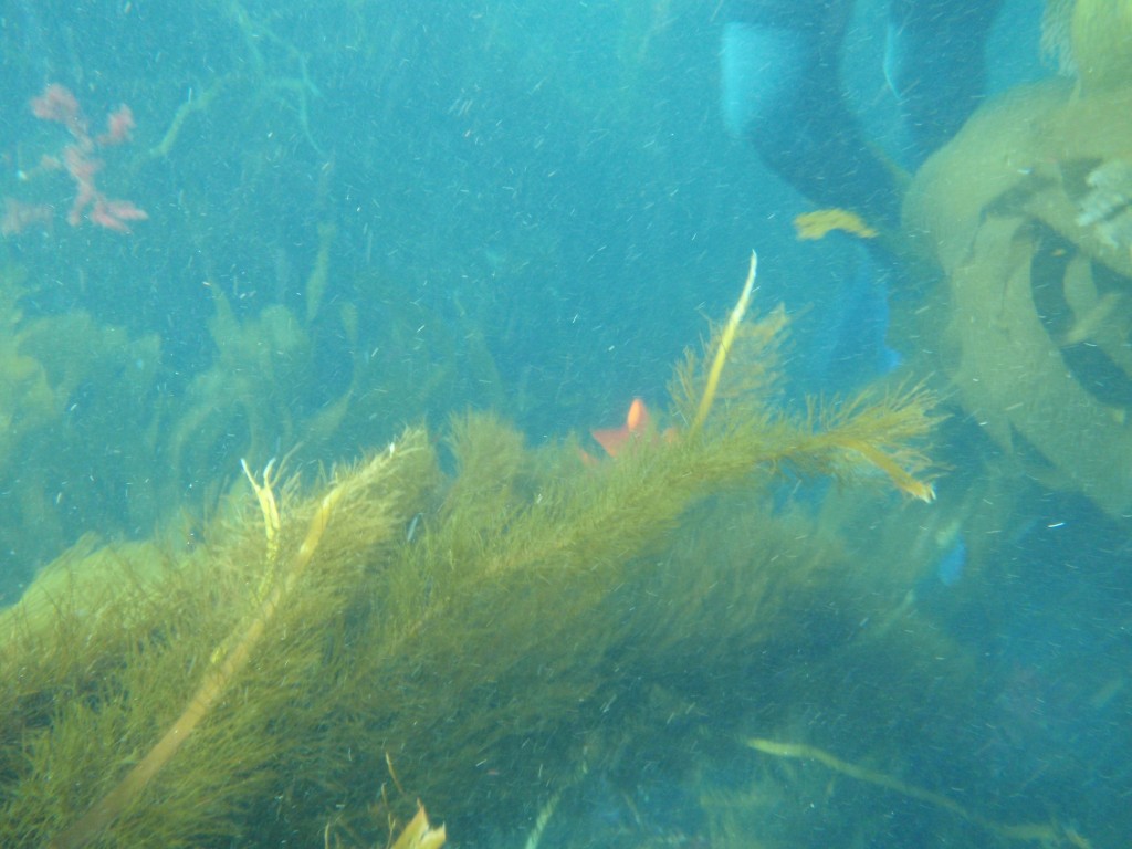 sm_AR-P8213591.JPG