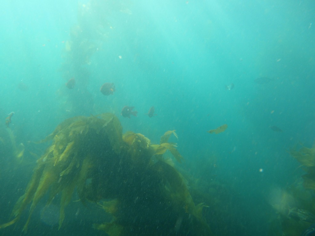 sm_AR-P8213592.JPG