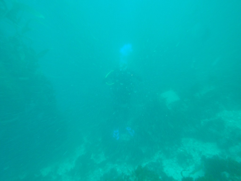 sm_P8213326.JPG