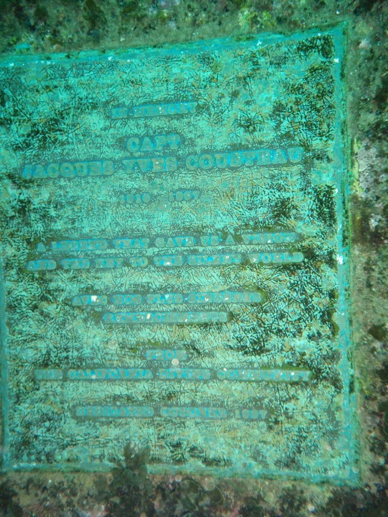 sm_P8213328.JPG