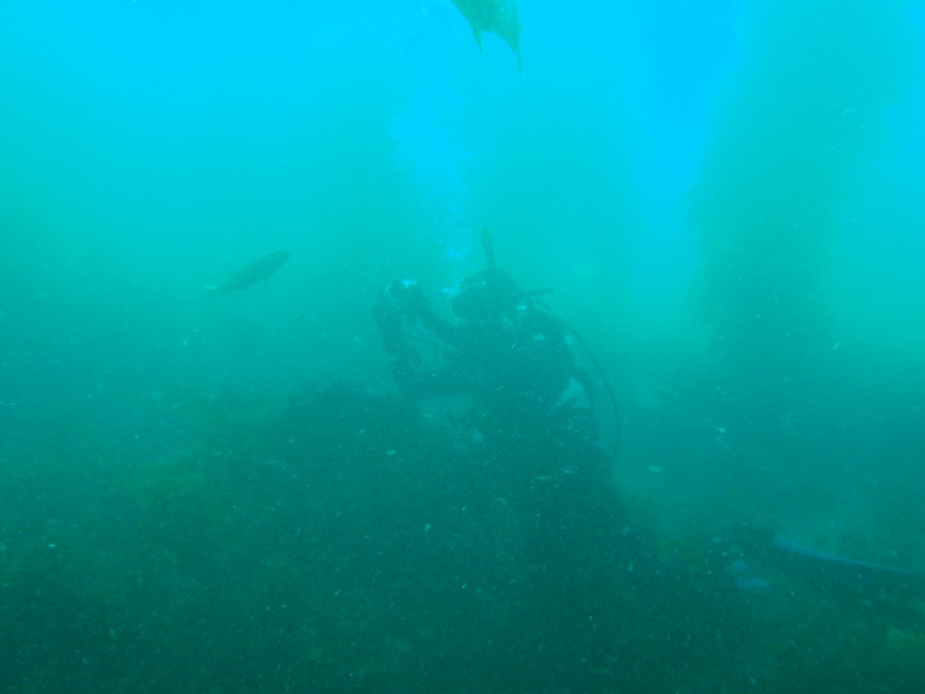 sm_P8213331.JPG