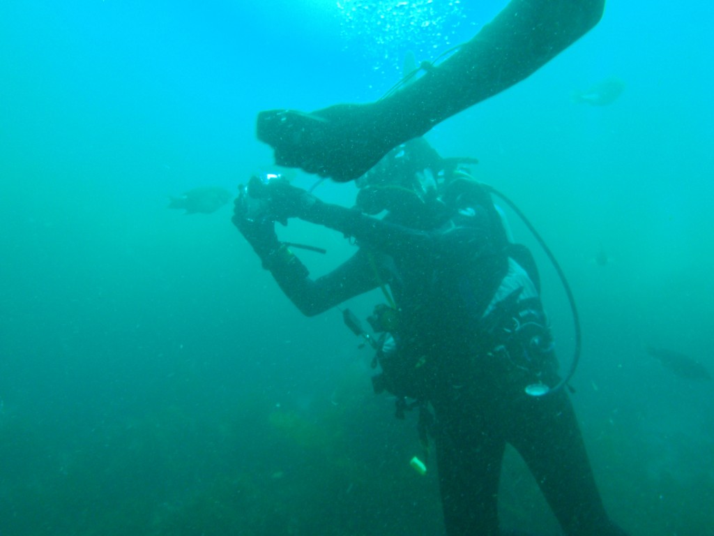 sm_P8213332.JPG