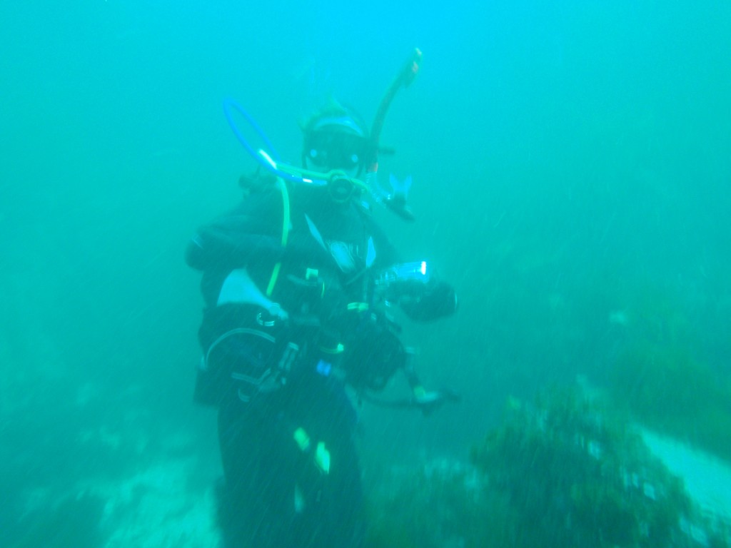sm_P8213335.JPG