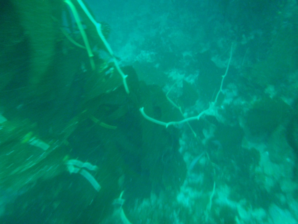 sm_P8213336.JPG