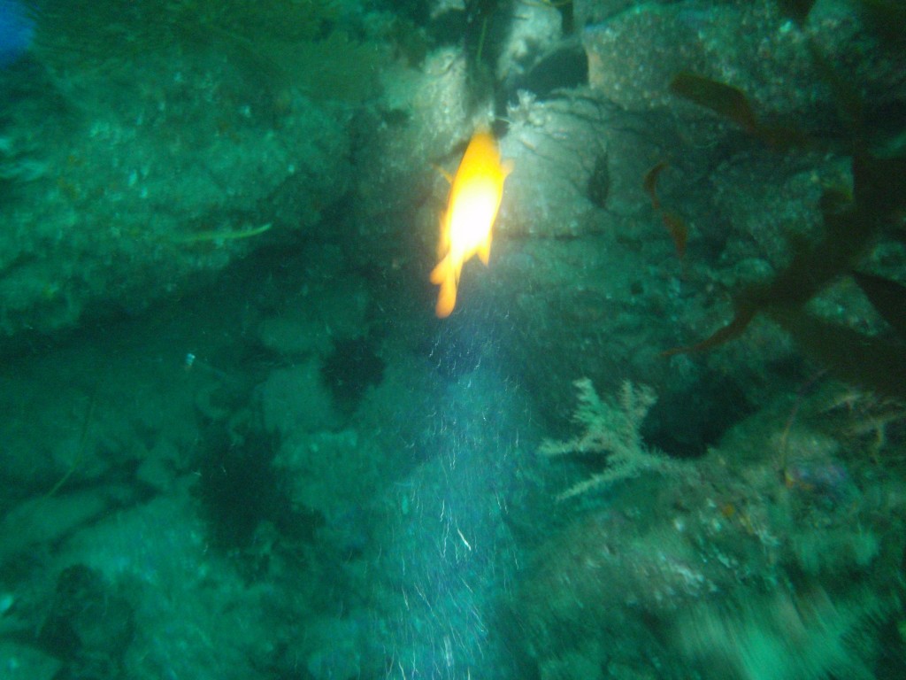 sm_P8213342.JPG