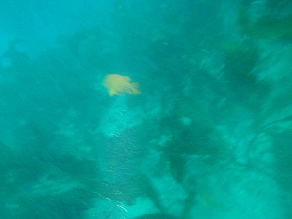 sm_P8213356.JPG