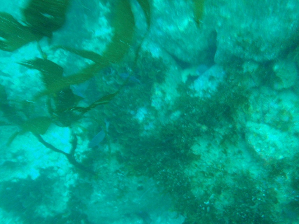sm_P8213360.JPG