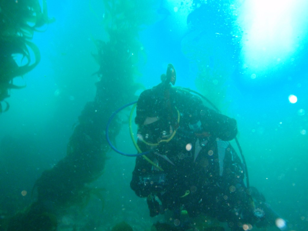 sm_P8213362.JPG