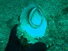 sm_AR-P8213420.JPG
