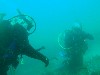 sm_AR-P8213422.JPG