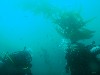 sm_AR-P8213427.JPG