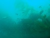 sm_AR-P8213433.JPG