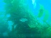 sm_AR-P8213436.JPG