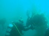 sm_AR-P8213437.JPG