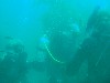 sm_AR-P8213438.JPG