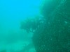 sm_AR-P8213439.JPG