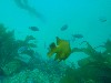sm_AR-P8213440.JPG