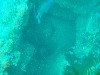 sm_AR-P8213443.JPG