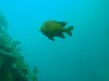 sm_AR-P8213449.JPG